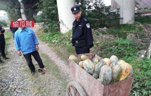 成县吃瓜网红事件始末视频,一场网络舆论的风暴与反思  第1张